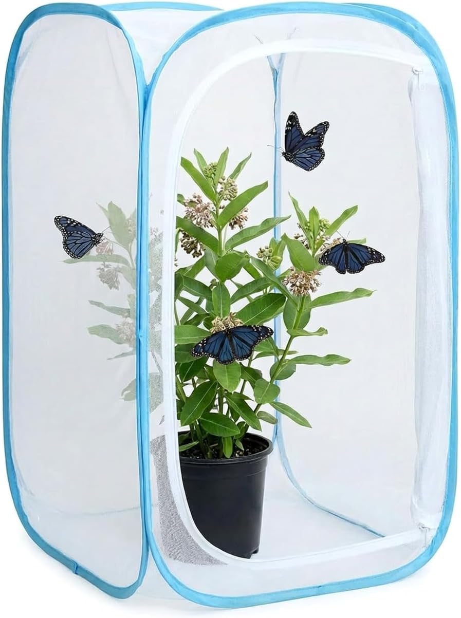 KraAra habitat cage with transparent viewing window