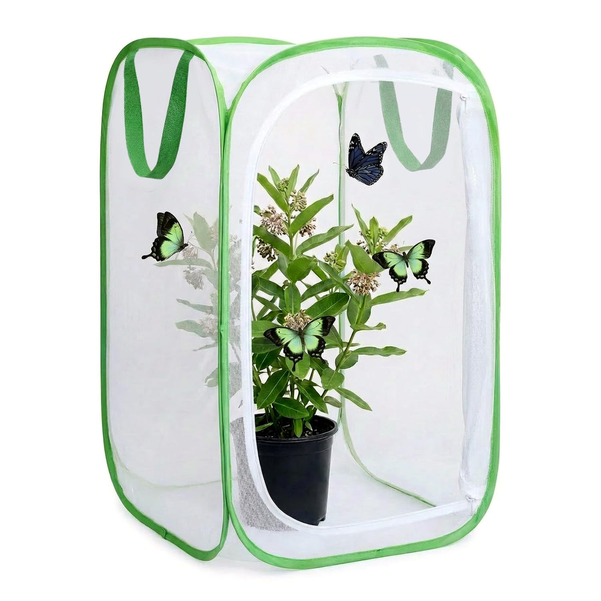 KraAra Insect & Butterfly Habitat Cage front view with mesh panels