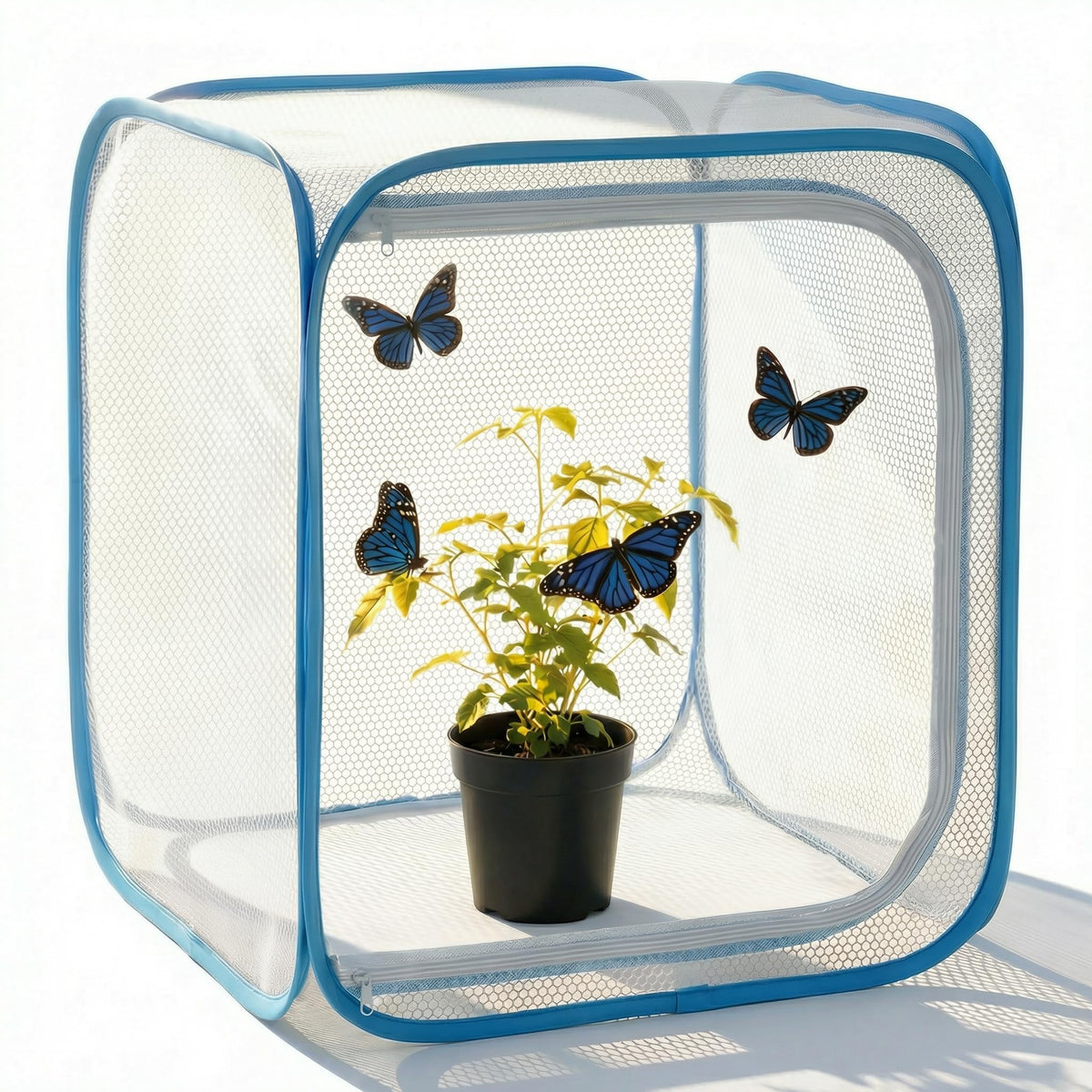 KraAra Insect & Butterfly Habitat Cage front view with mesh panels