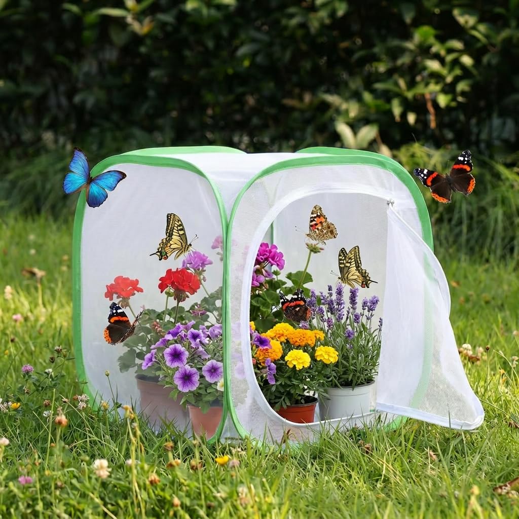 KraAra Insect & Butterfly Habitat Cage in green and white color