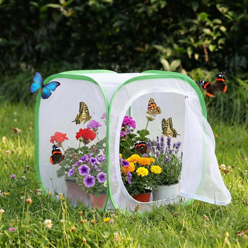KraAra Insect & Butterfly Habitat Cage in green and white color