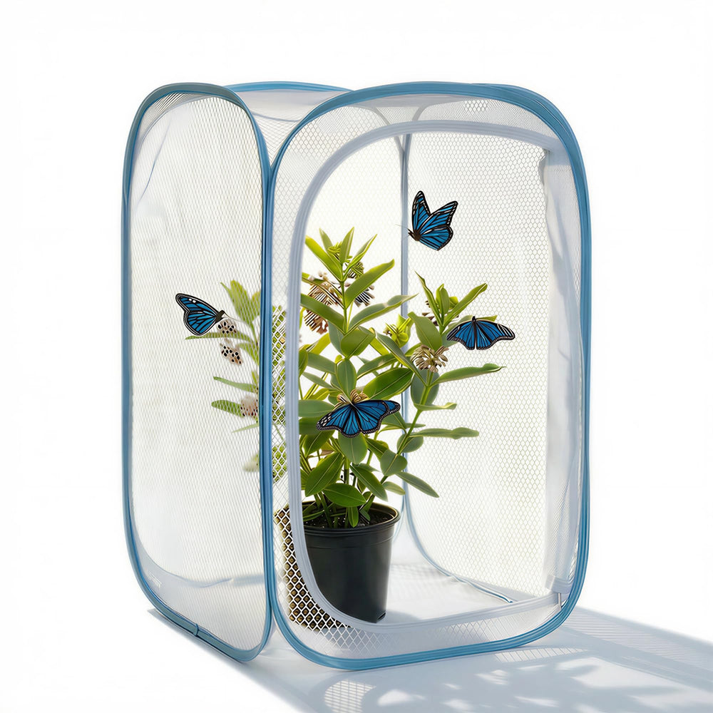 KraAra Insect & Butterfly Habitat Cage pop-up design front view