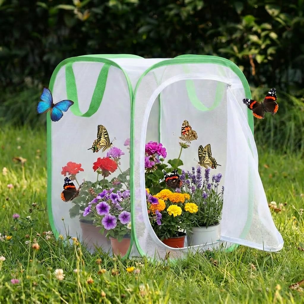KraAra insect habitat cage packed flat for storage