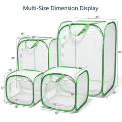KraAra pop-up insect cage open showing spacious interior for caterpillars