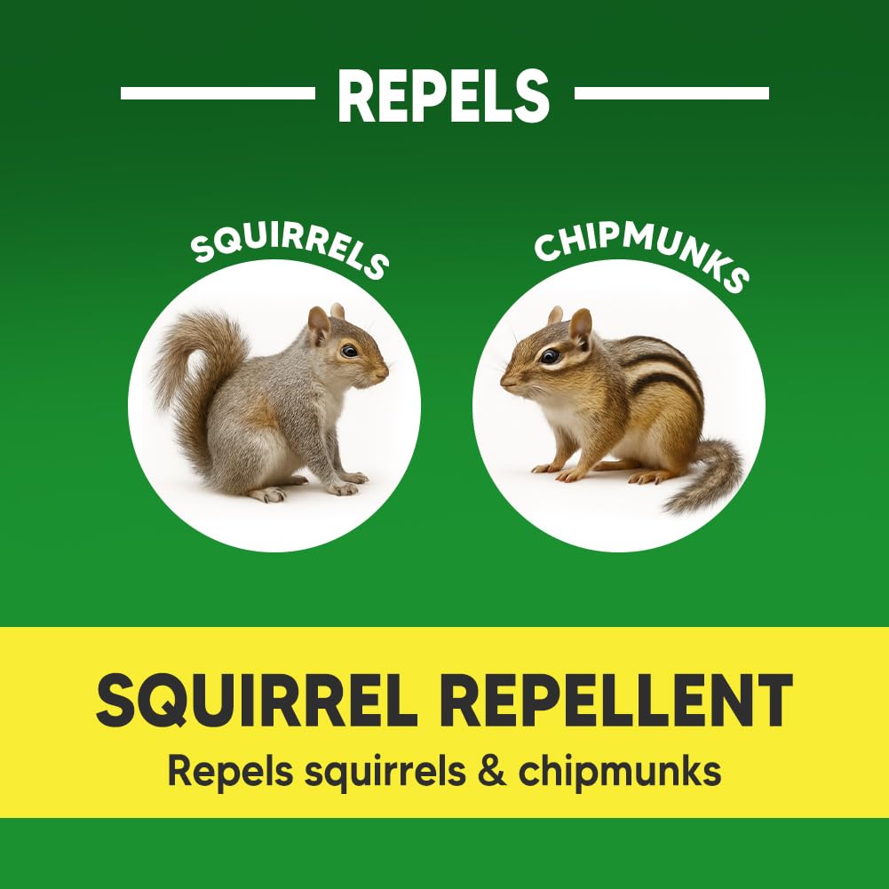 KsopoG Squirrel Repellent in garden setting