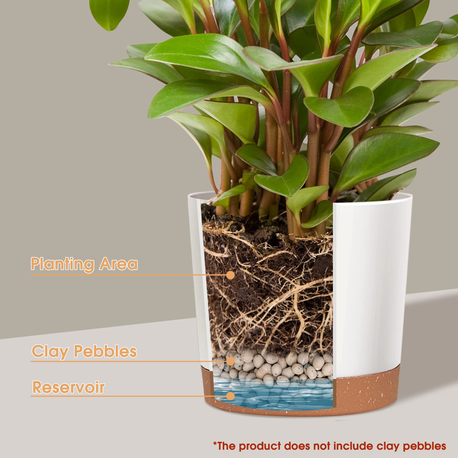 kubvici 12 Inch Green Plant Pot with Saucer
