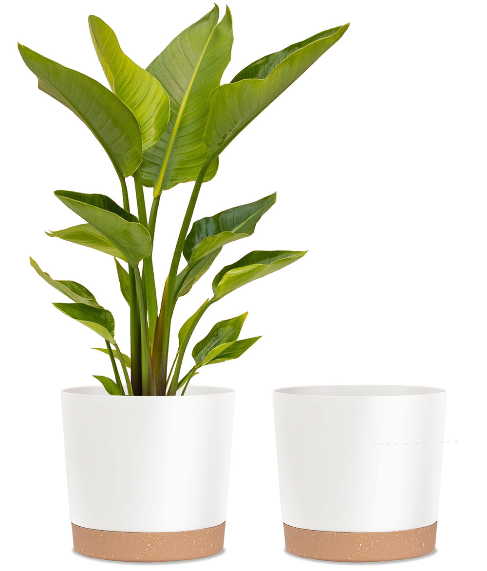 kubvici 12 Inch White Plant Pot with Saucer
