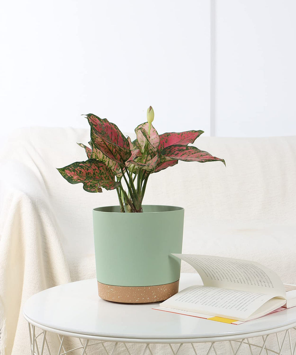 kubvici 8 inch indoor plant pot green side view