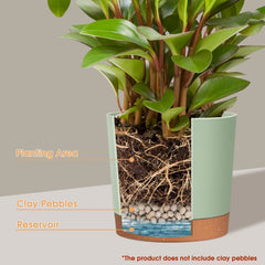 kubvici 8 inch indoor plant pots set of 2 on table