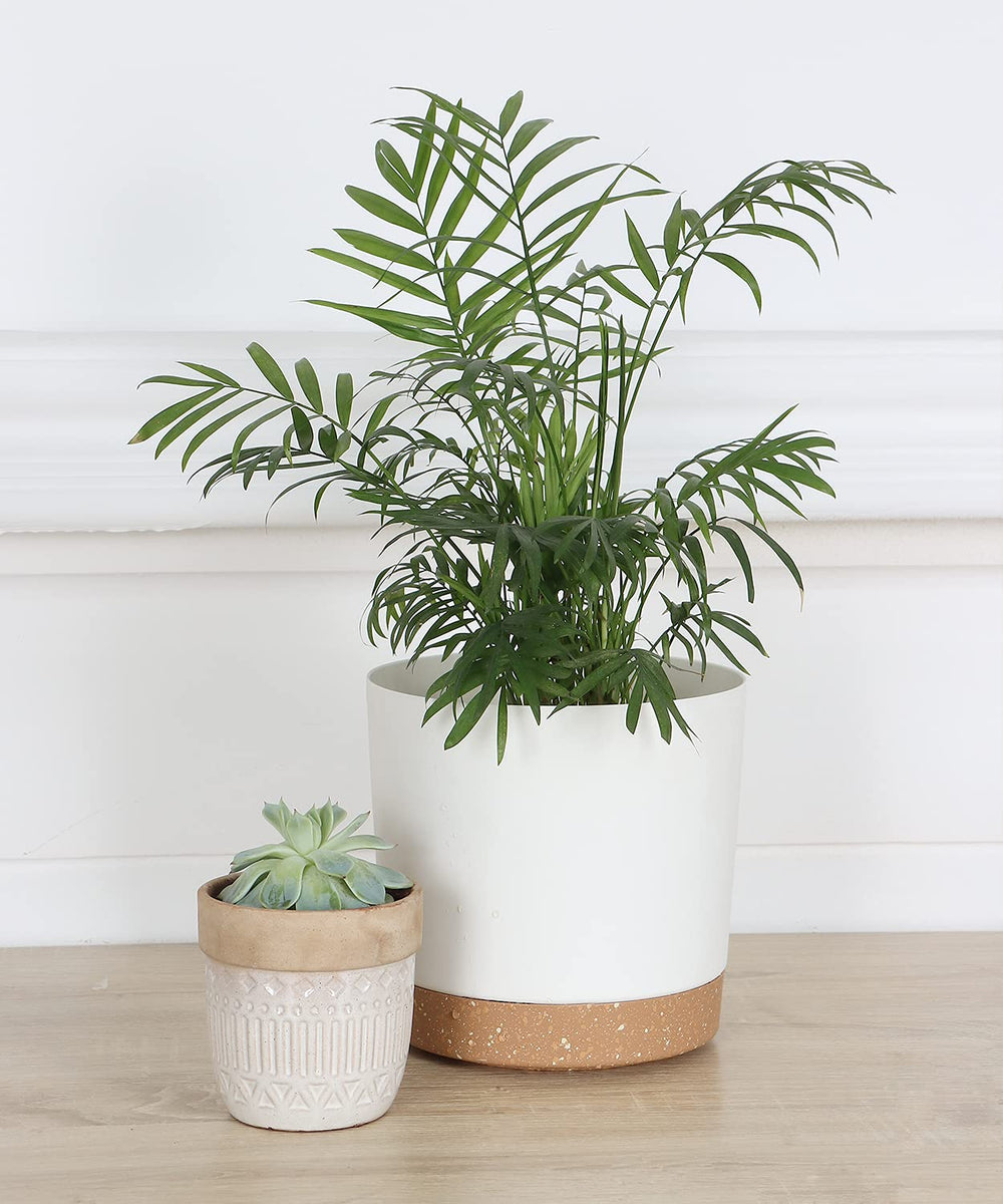 kubvici 8 inch white indoor plant pot with succulent