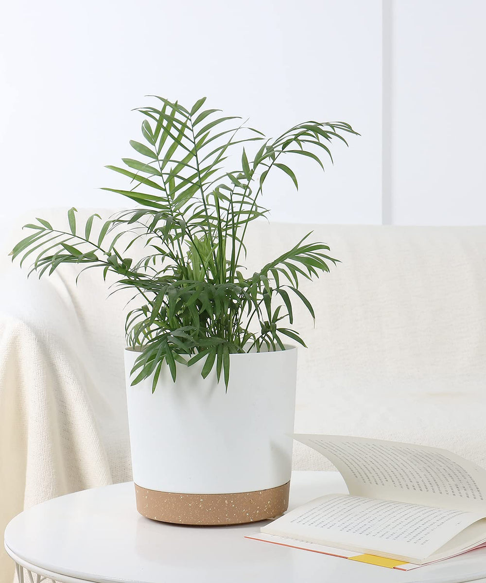 kubvici indoor plant pot with aloe vera inside