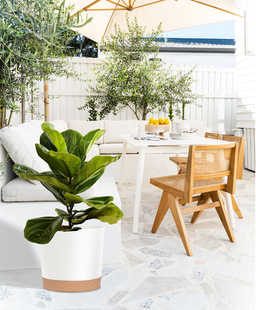 kubvici plant pots styled in a modern office