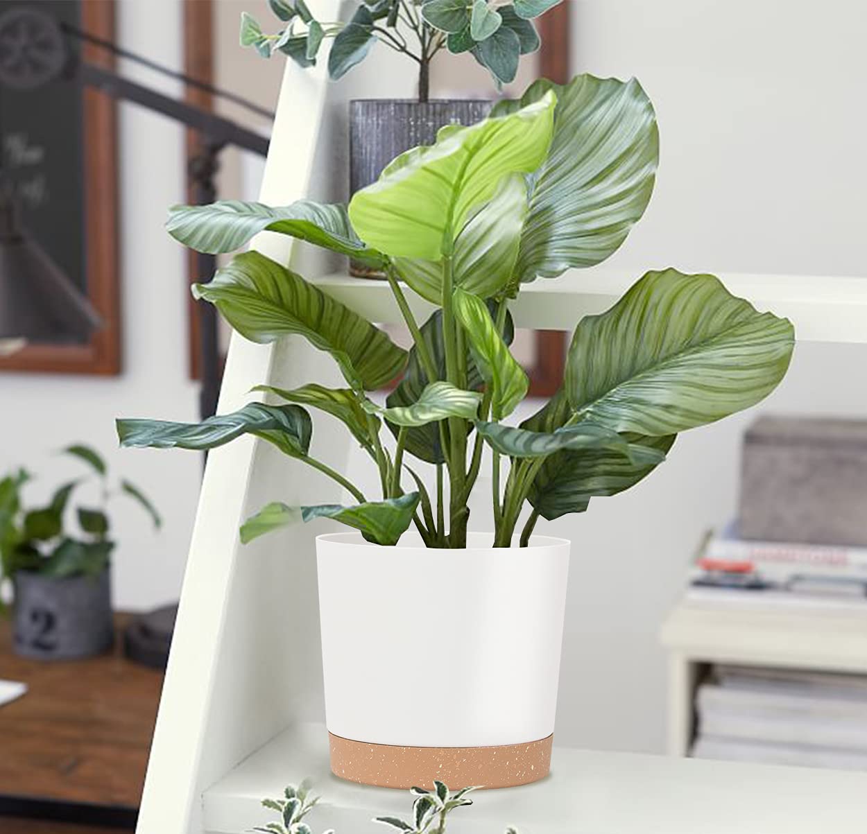 kubvici white indoor plant pot with basil plant