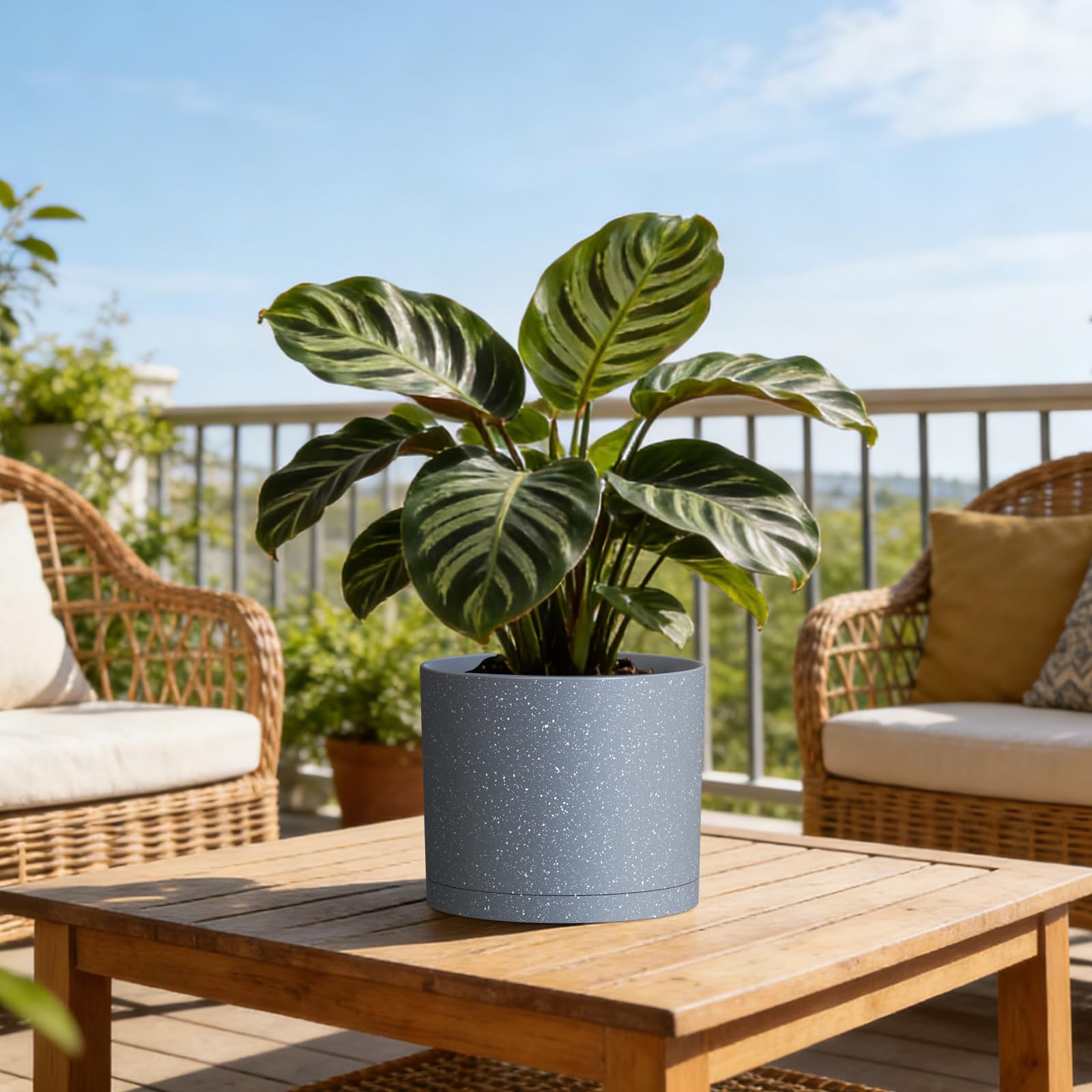 KUGAZ 3 Pack Plant Pots with detachable saucers