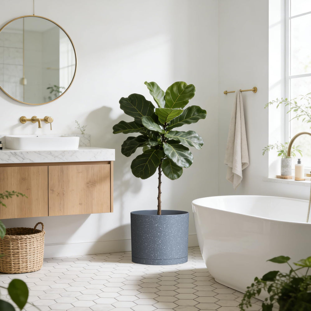KUGAZ plant pots arranged in a decorative display