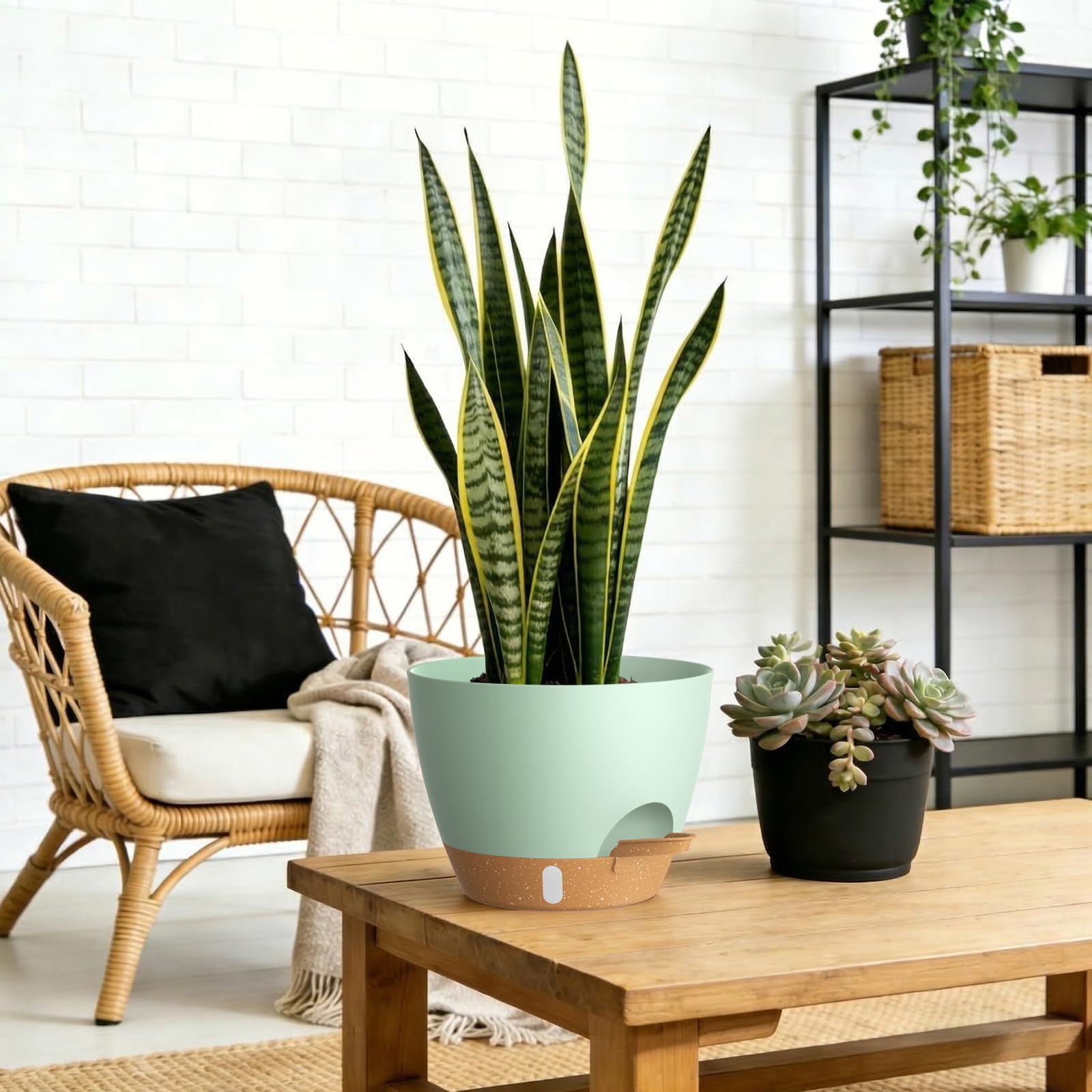 KUGAZ self watering pots in green brown color