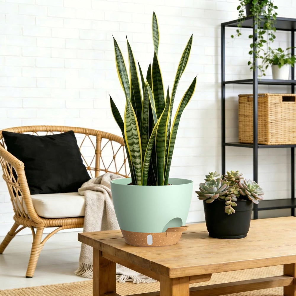 KUGAZ self watering pots in green brown color