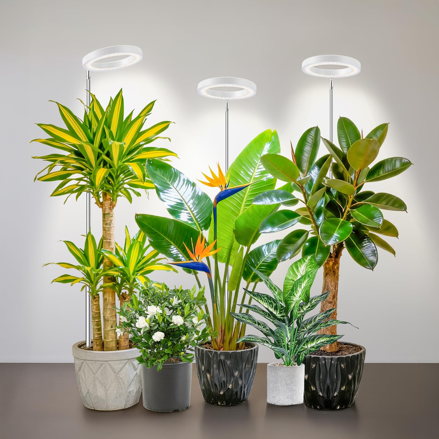 Kullsinss 6.3in grow light front view with halo design