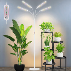 Kullsinss Floor Grow Light with 4 heads, front view