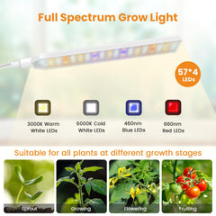 Kullsinss Grow Light in a stylish indoor setting