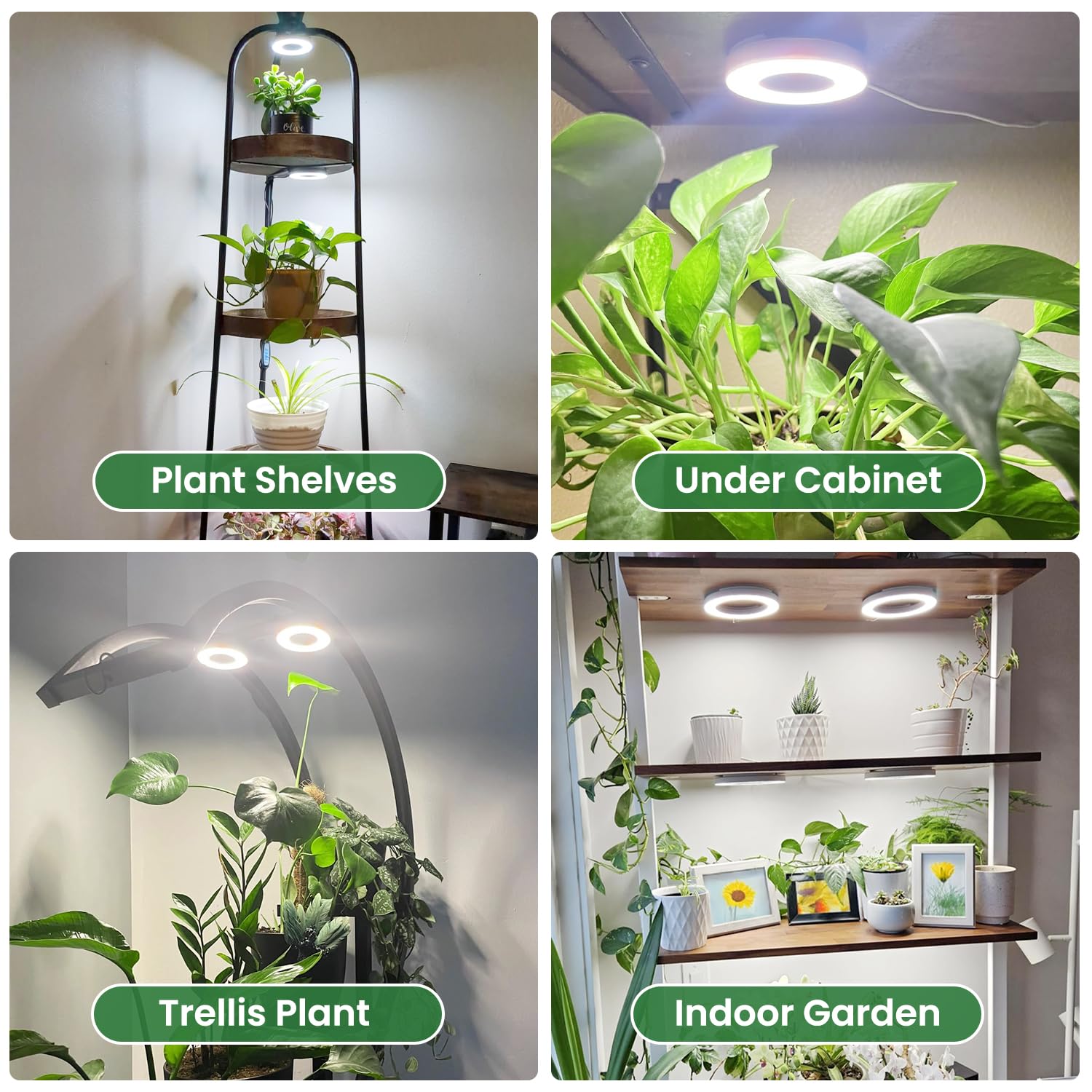 Kullsinss plant grow light packaging and included accessories
