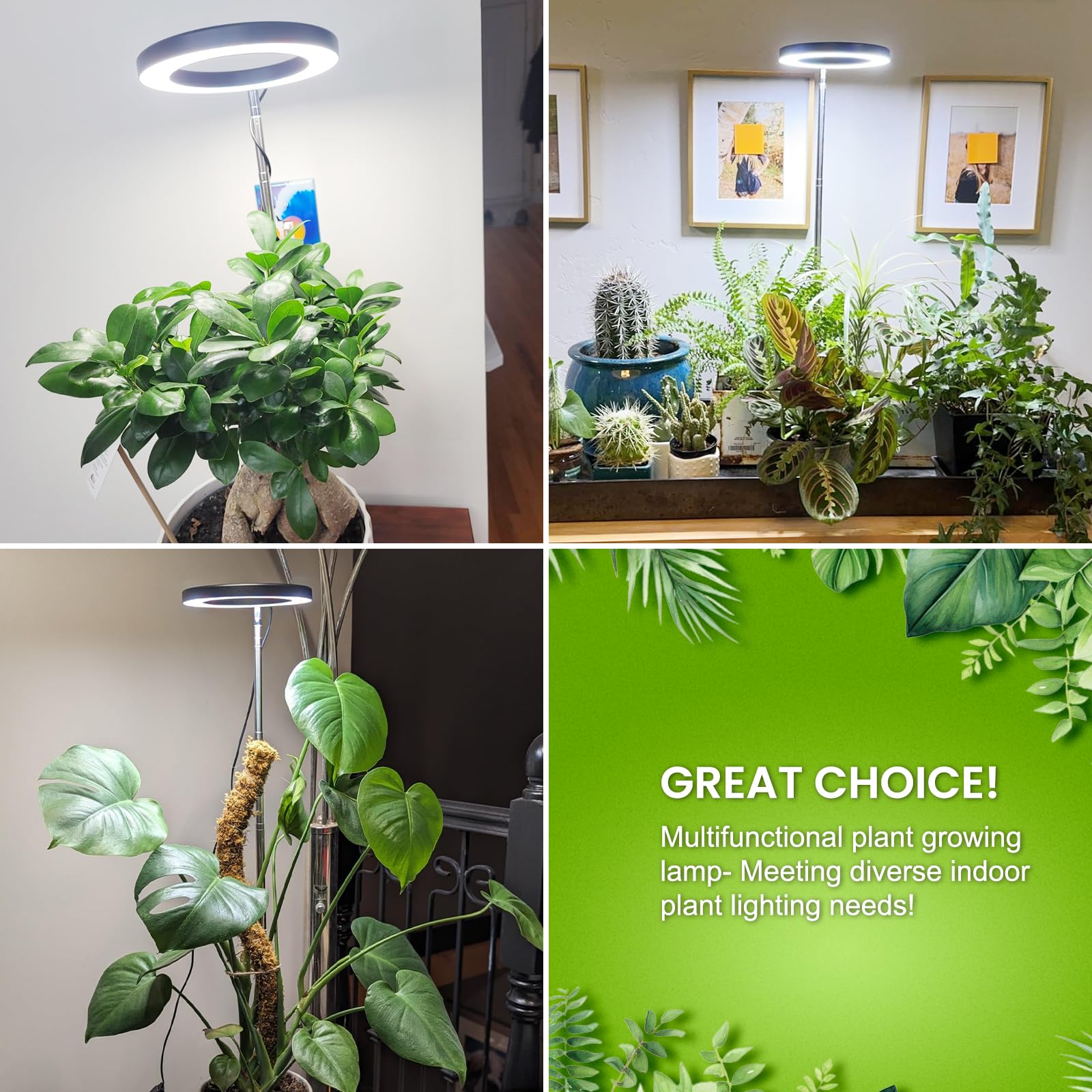 Kullsinss Plant Light packaging display