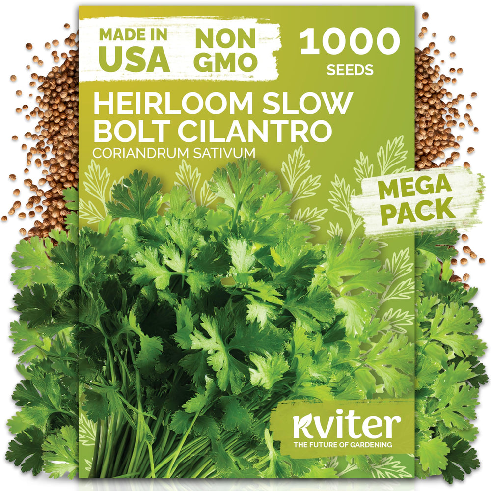 KVITER 1,000 Slow Bolt Cilantro Seeds packet front view