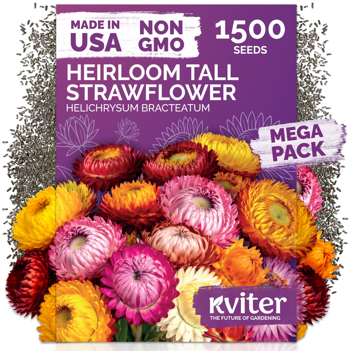 KVITER 1,500 Tall Mix Strawflower Seeds package front view