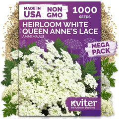 KVITER 1000 White Queen Anne's Lace flower seeds package front view