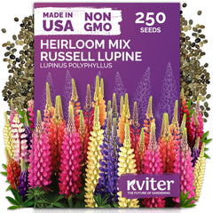 KVITER 250 Mix Russell Lupine Flower Seeds packaging front view