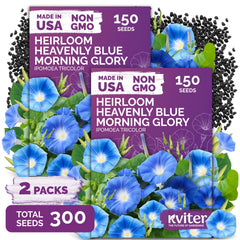 KVITER 300 Heavenly Blue Morning Glory Seeds package front view