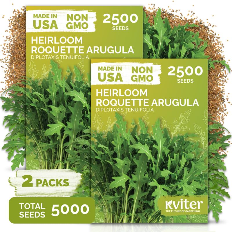 KVITER 5000 Roquette Arugula Heirloom Seeds package front view