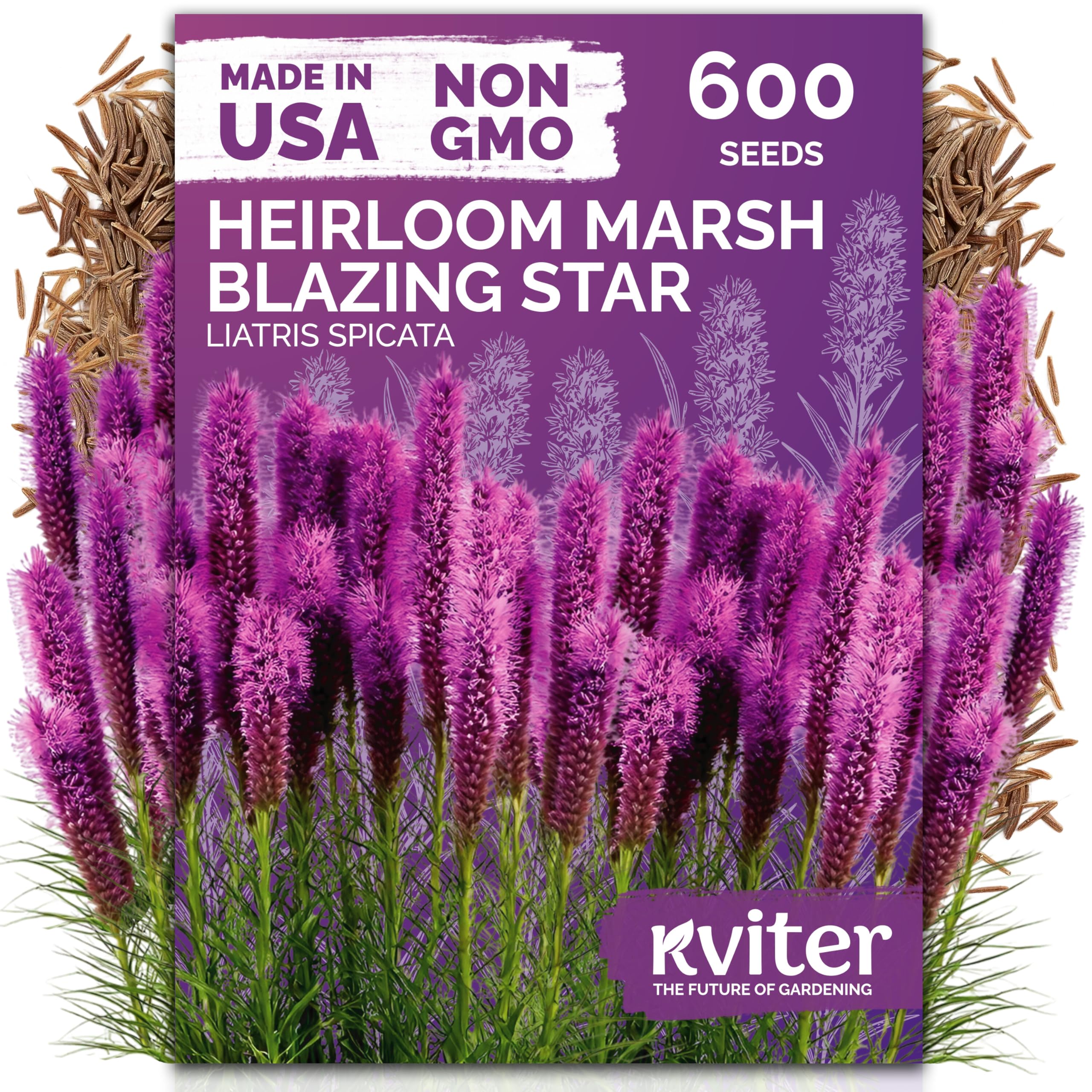 KVITER 600 Marsh Blazing Star Heirloom Flower Seeds package front view