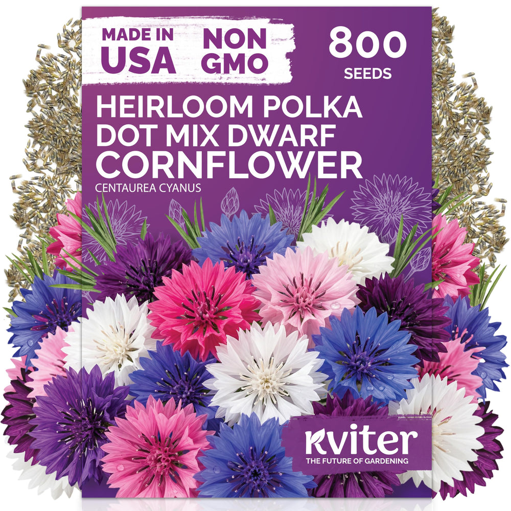 KVITER 800 Polka Dot Mix Dwarf Cornflower Seeds packet front view