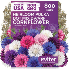 KVITER 800 Polka Dot Mix Dwarf Cornflower Seeds packet front view