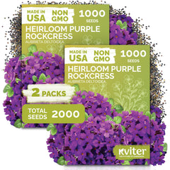 KVITER Aubrieta Rock Cress Flower Seeds package front view