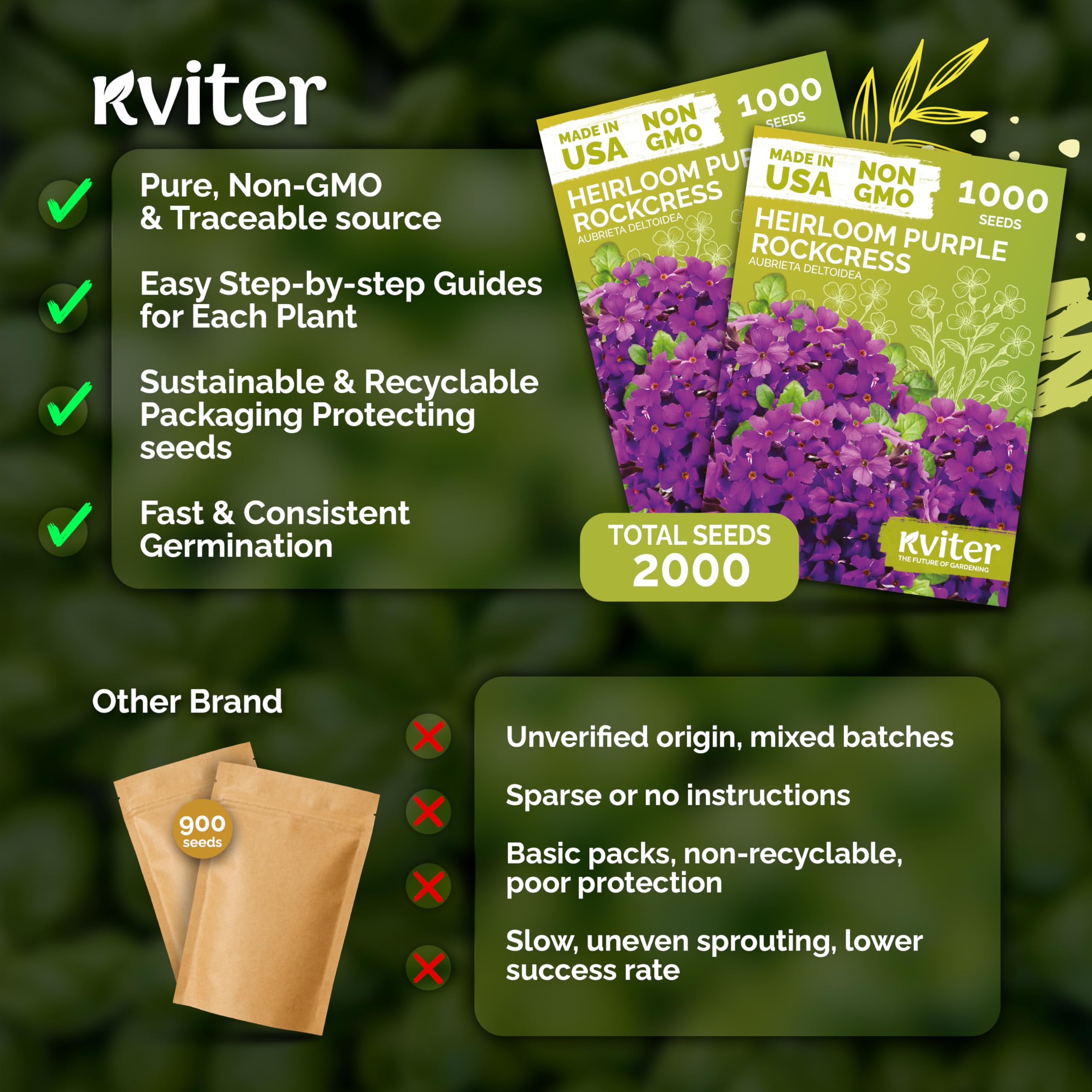 KVITER Aubrieta seeds in a hand outdoors