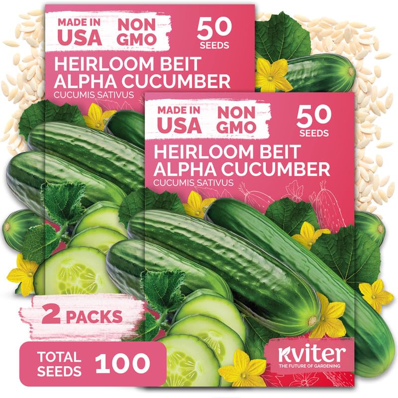 KVITER Beit Alpha Cucumber Seeds 100 Pack front view