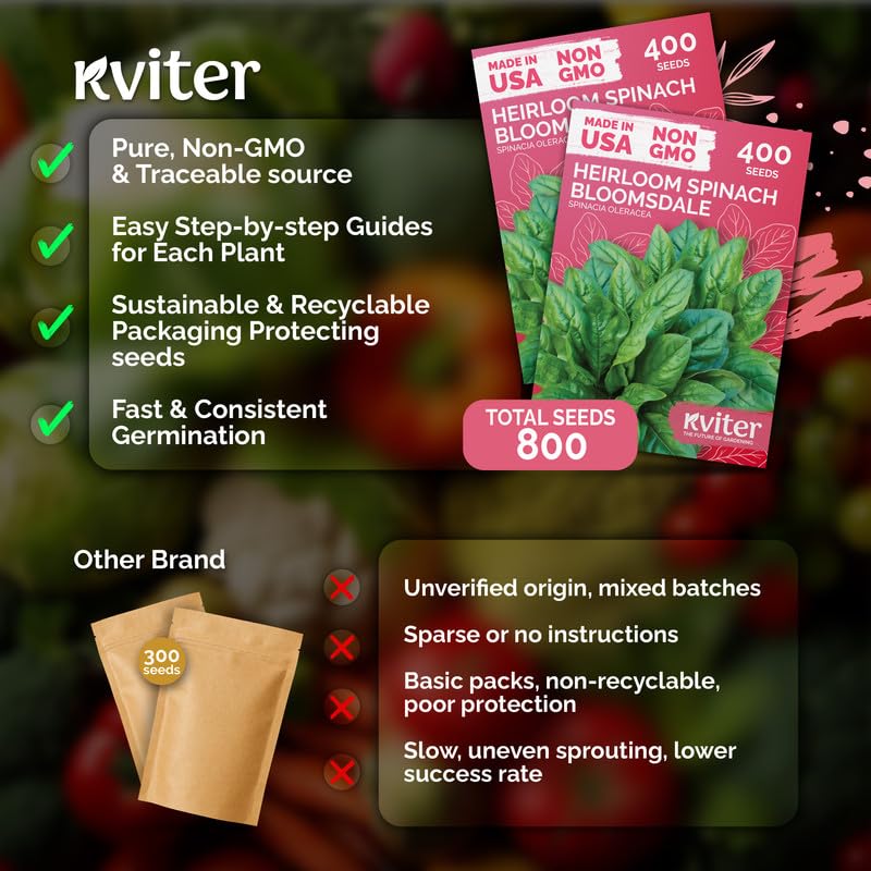 KVITER Bloomsdale Spinach seeds packet back side with planting instructions