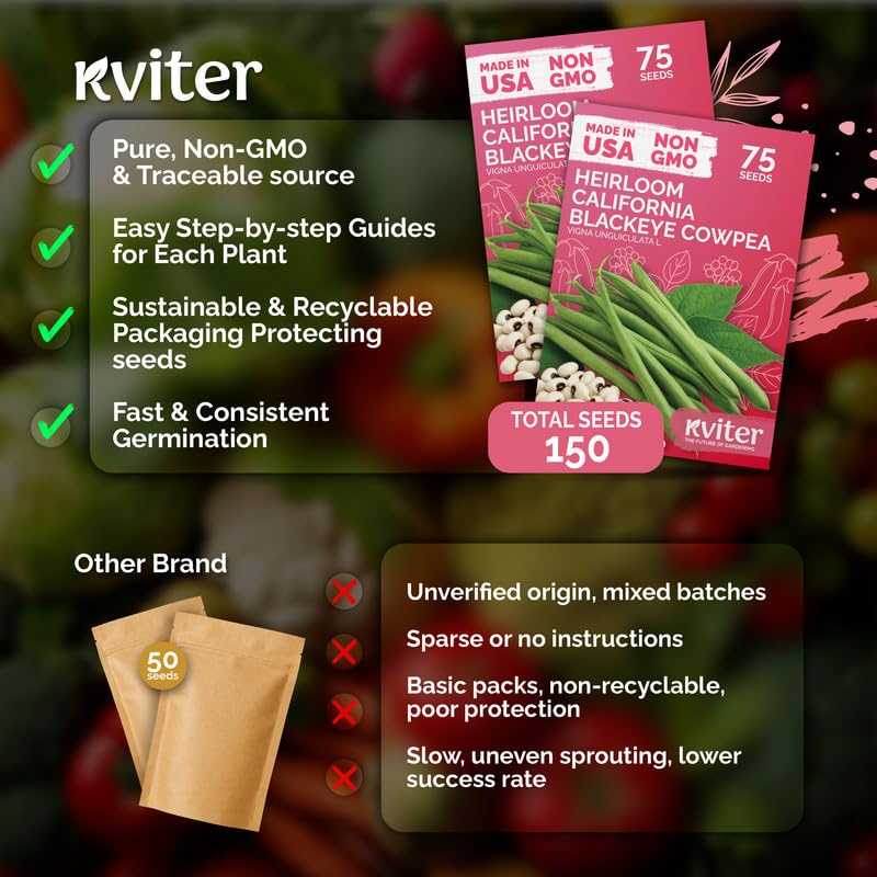 KVITER California Black Eyed Peas seeds planted in a garden bed