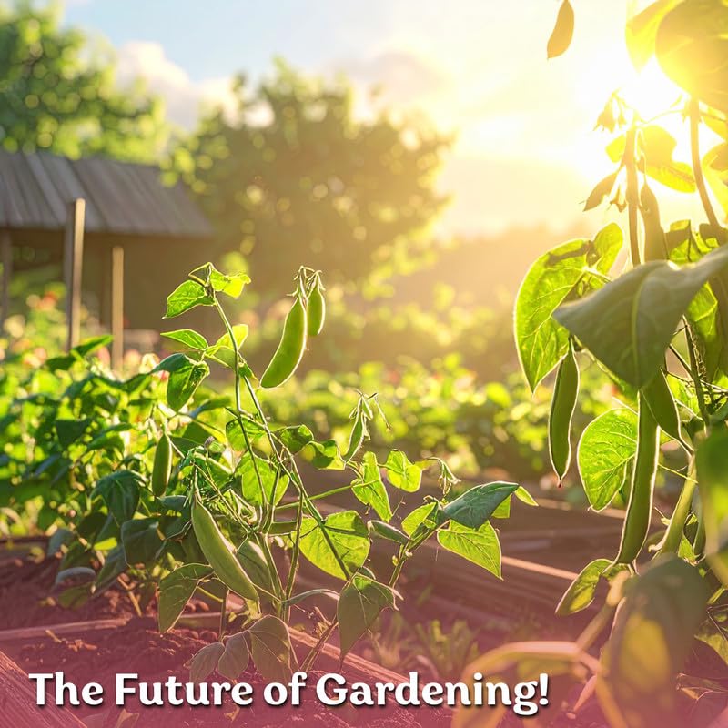 KVITER California Black Eyed Peas seeds with garden tools and soil