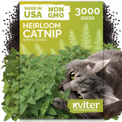 KVITER catnip heirloom seeds package front view