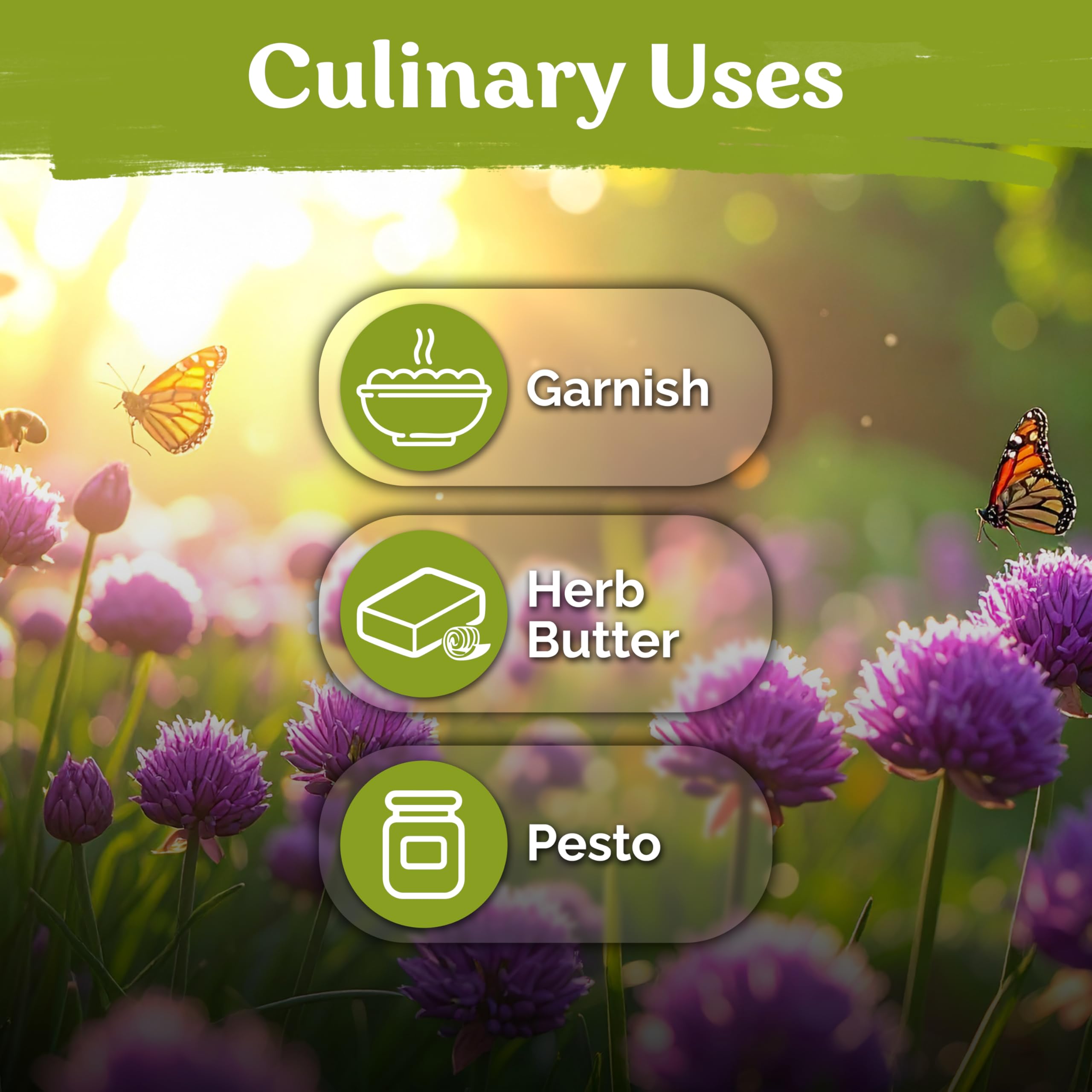 KVITER chives in a kitchen setting with culinary herbs