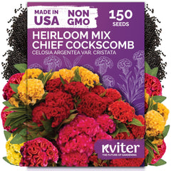 KVITER Cockscomb flower seeds packet front view
