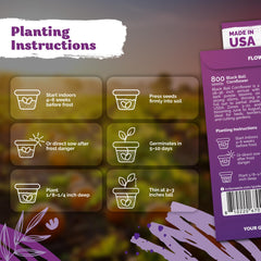 KVITER Cornflower seeds with measurements on package