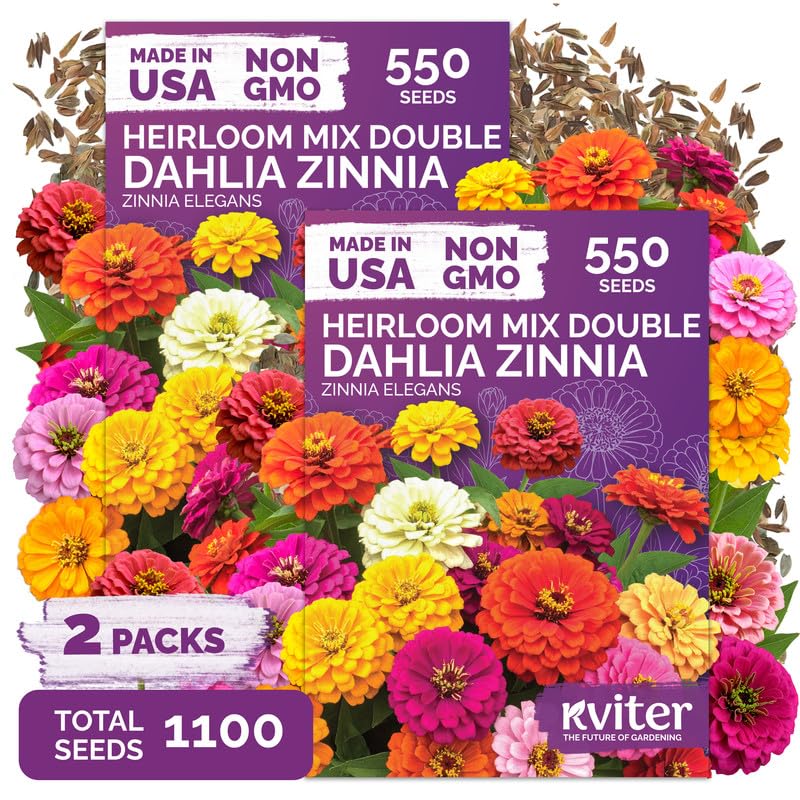 KVITER Dahlia Zinnia seeds packet front view