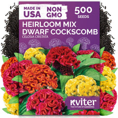 KVITER Dwarf Mix Cockscomb Flower Seeds packet front view