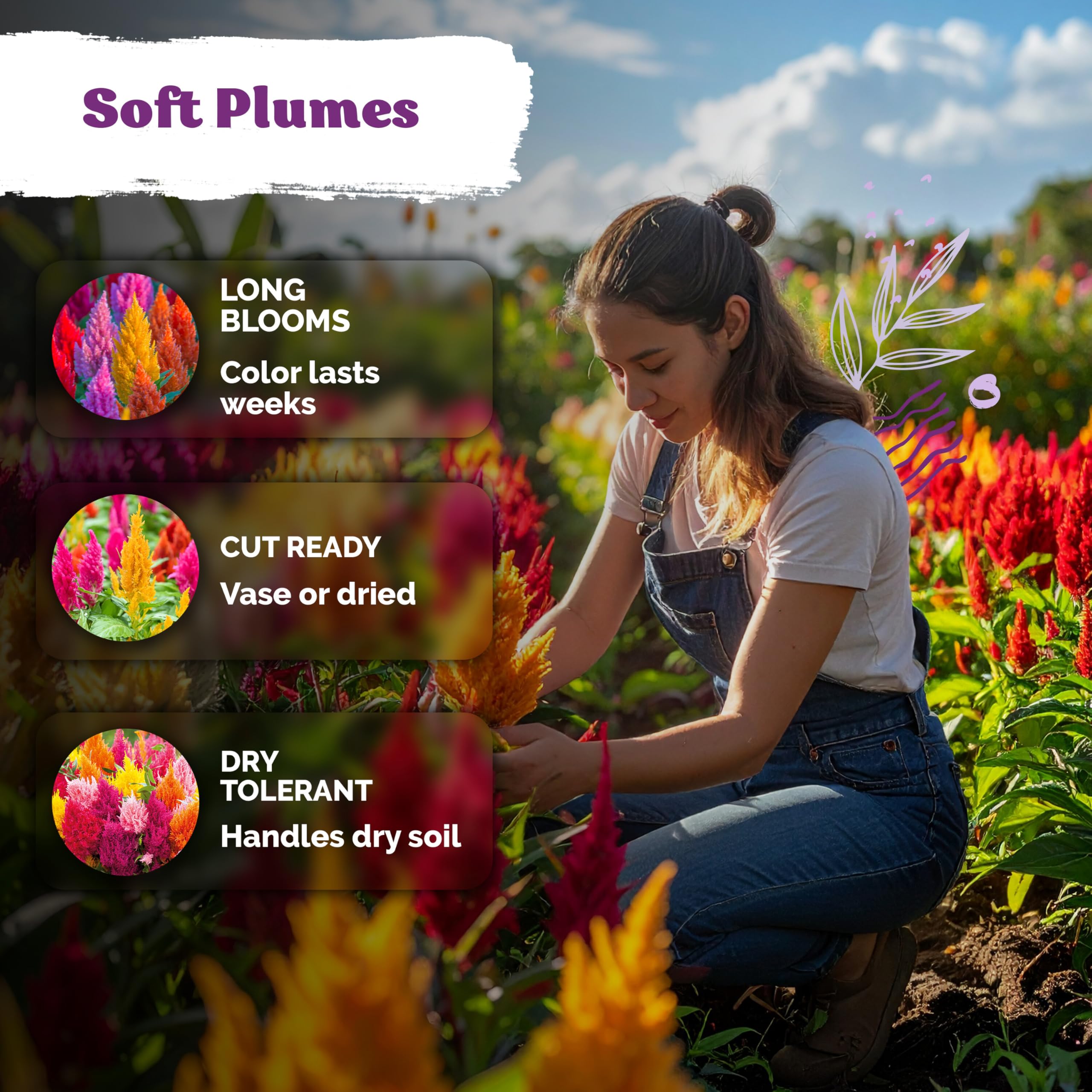 KVITER flower seeds in a garden setting