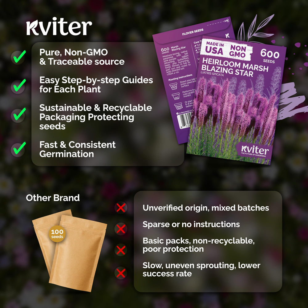 KVITER flower seeds in a hand outdoors