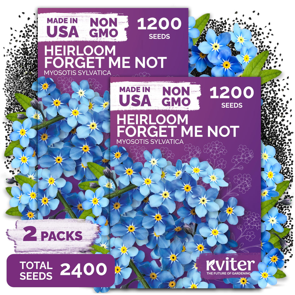 KVITER Forget Me Not flower seeds packet front view